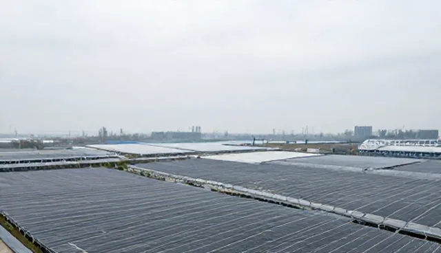 术后康复套餐选型与使用建议
