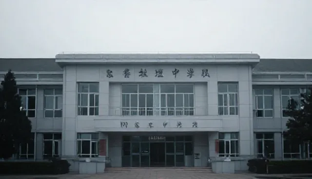 门诊团队适配方案的性能与适用条件说明
